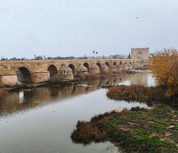 Кордова (Córdoba)