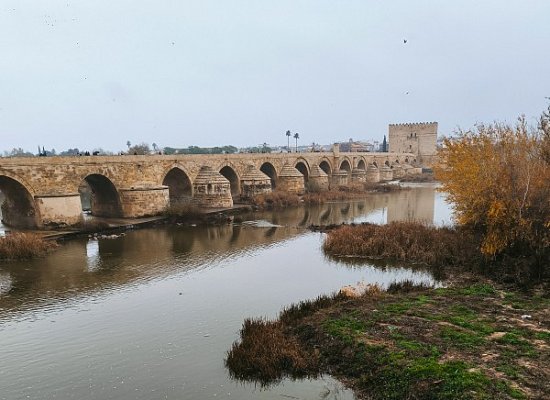 Кордова (Córdoba)