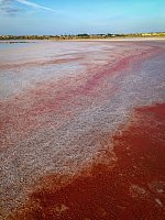 Розовое озеро Торревьеха (Laguna Salada de Torrevieja) фото