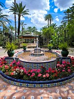 Пальмовый лес в Эльче (El Palmeral Elx) фото