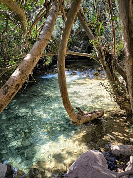 Водопады Альгара (Les Fonts d'Algar) фото 9