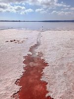 Розовое озеро Торревьеха (Laguna Salada de Torrevieja) фото