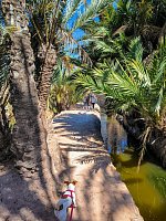 Экологическая тропа вокруг водохранилища Эльче (Pantano de Elche) фото