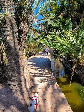 Экологическая тропа вокруг водохранилища Эльче (Pantano de Elche) фото 1