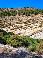 Экологическая тропа вокруг водохранилища Эльче (Pantano de Elche) фото