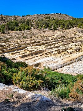 Экологическая тропа вокруг водохранилища Эльче (Pantano de Elche) фото 2