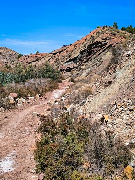 Экологическая тропа вокруг водохранилища Эльче (Pantano de Elche) фото 7