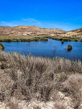 Экологическая тропа вокруг водохранилища Эльче (Pantano de Elche) фото 9