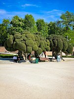 Парк Ретиро (Parque de el Retiro) фото