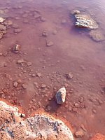 Розовое озеро Торревьеха (Laguna Salada de Torrevieja) фото