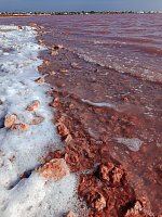 Розовое озеро Торревьеха (Laguna Salada de Torrevieja) фото