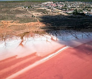 Розовое озеро Торревьеха (Laguna Salada de Torrevieja)