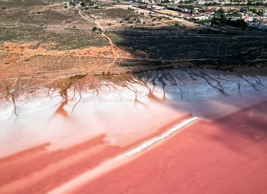 Розовое озеро Торревьеха (Laguna Salada de Torrevieja)