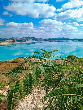 Водохранилище Эмбальсе де ла Педрера (Embalse de la Pedrera) фото 4