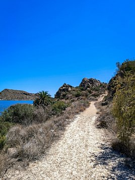 Экологическая тропа вокруг водохранилища Эльче (Pantano de Elche) фото 11