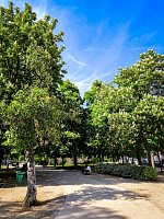 Парк Ретиро (Parque de el Retiro) фото