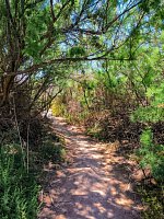 Экологическая тропа вокруг водохранилища Эльче (Pantano de Elche) фото