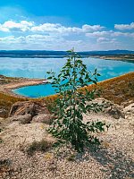 Водохранилище Эмбальсе де ла Педрера (Embalse de la Pedrera) фото