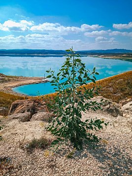 Водохранилище Эмбальсе де ла Педрера (Embalse de la Pedrera) фото 5