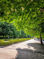 Парк Ретиро (Parque de el Retiro) фото