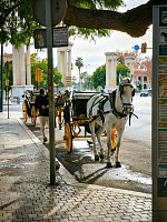 Малага (Malaga) фото