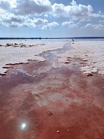 Розовое озеро Торревьеха (Laguna Salada de Torrevieja) фото