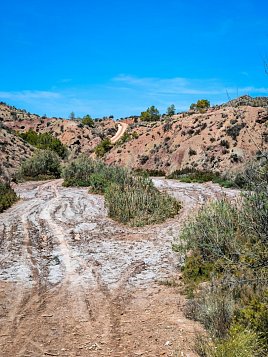 Экологическая тропа вокруг водохранилища Эльче (Pantano de Elche) фото 10