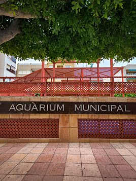 Аквариум в Санта Пола (Aquarium - Museo del Mar Santa Pola) фото 12