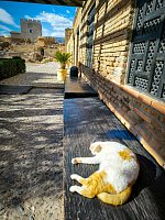 Алькасаба в Альмерии (Alcazaba de Almería) фото