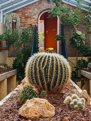 Ботанический сад Валенсии (Jardin Botanico de Valencia) фото 8