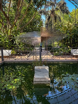 Ботанический сад Валенсии (Jardin Botanico de Valencia) фото 11