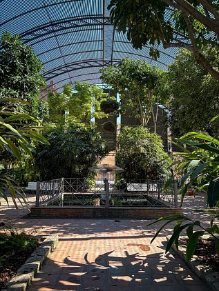 Ботанический сад Валенсии (Jardin Botanico de Valencia) фото 3