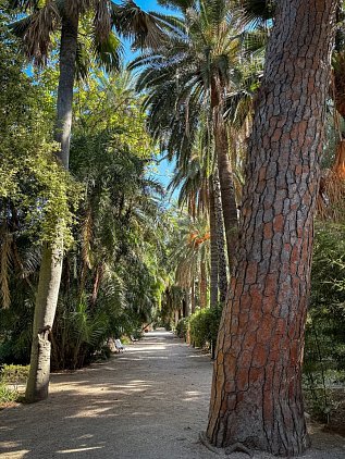 Ботанический сад Валенсии (Jardin Botanico de Valencia) фото 2
