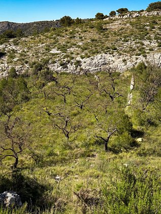 Хайкинговый маршрут к аркам Els Arcs de Castell de Castells фото 13