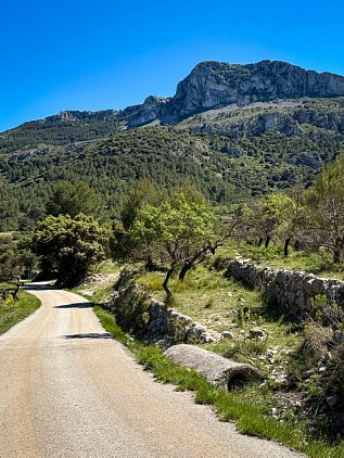 Хайкинговый маршрут к аркам Els Arcs de Castell de Castells фото 4