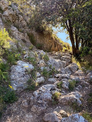 Хайкинговый маршрут к аркам Els Arcs de Castell de Castells фото 7
