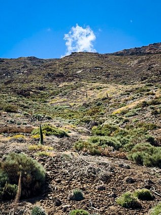 Вулкан Тейде (Teide) фото 15