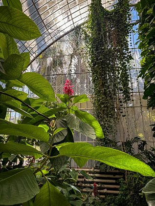 Ботанический сад Валенсии (Jardin Botanico de Valencia) фото 10