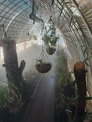 Ботанический сад Валенсии (Jardin Botanico de Valencia) фото 4
