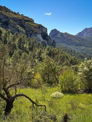 Хайкинговый маршрут к аркам Els Arcs de Castell de Castells фото 16