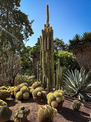 Ботанический сад Валенсии (Jardin Botanico de Valencia) фото 6